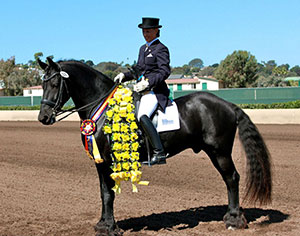 Jill Beltran Clinic at Liston Stables June 18 - 19, 2016